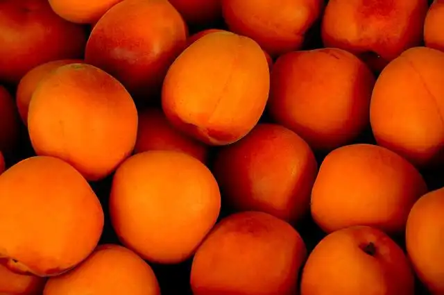 apricots image