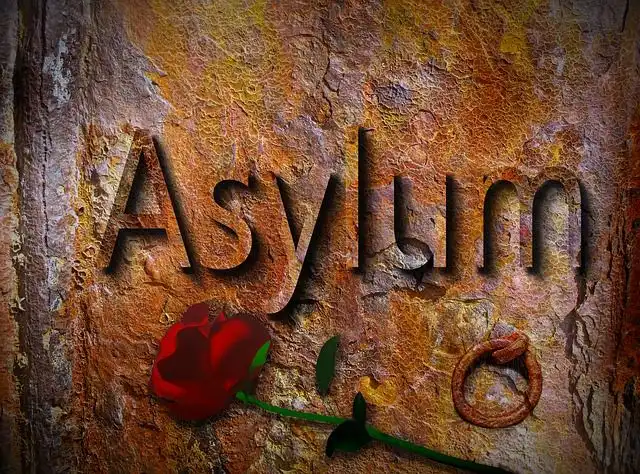 asylum image