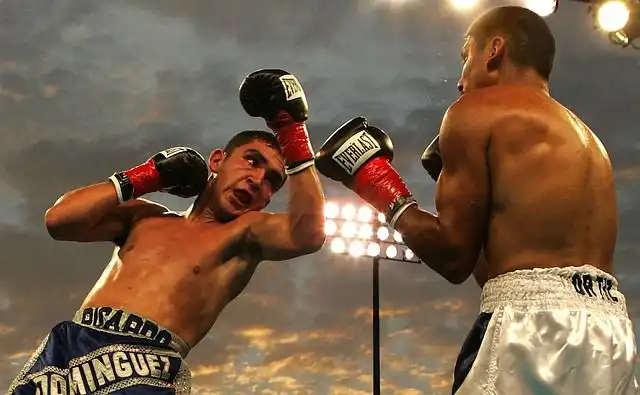boxer-boxing image