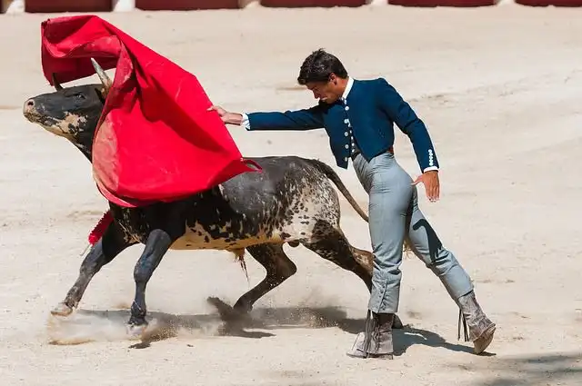 bullfight image