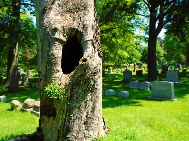 burial-ground image