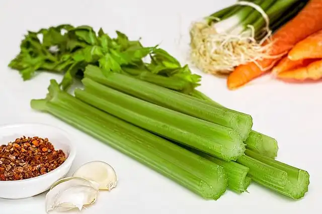 celery image