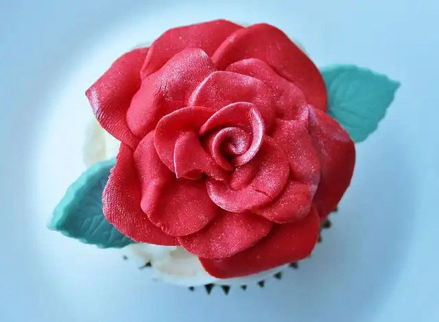 cupcake image