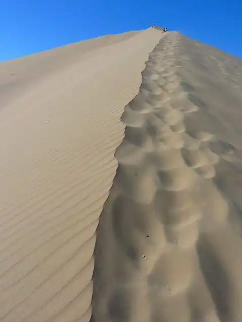 dune image