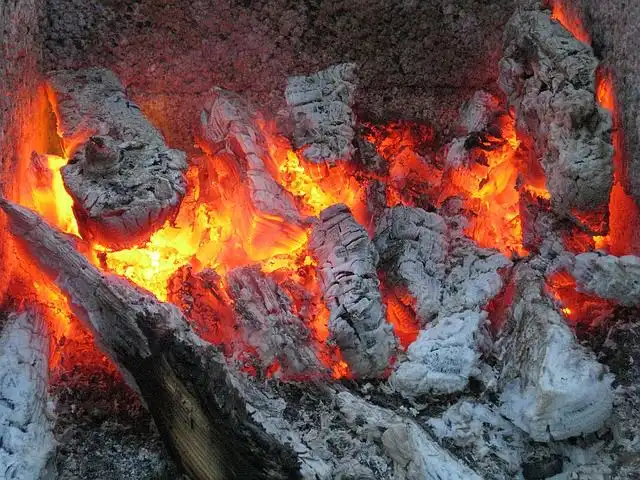 firebrand image