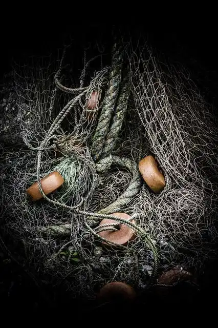 fishnet image