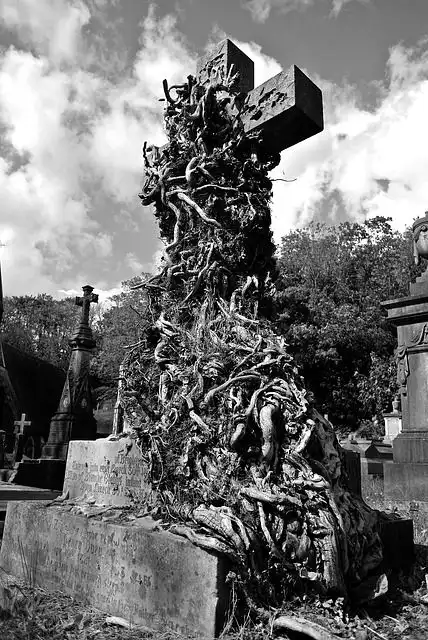 graveyard image