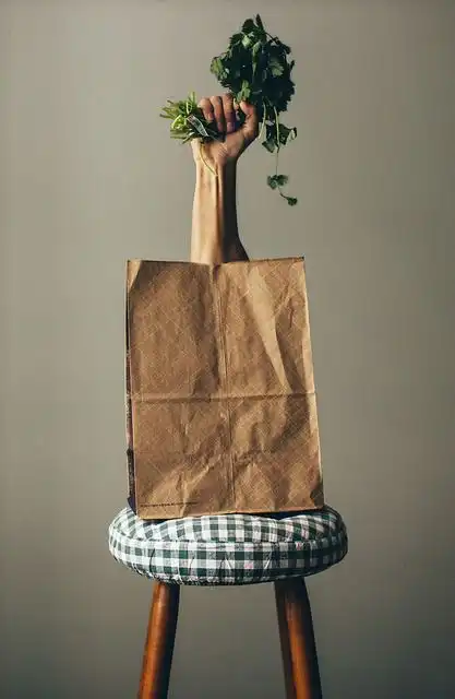 grocery-bag image