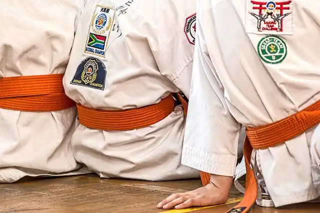 karate image