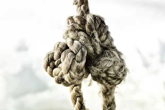 knots image