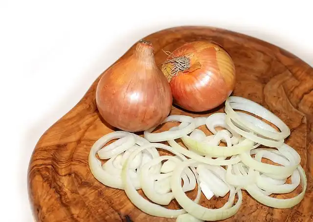 onions image