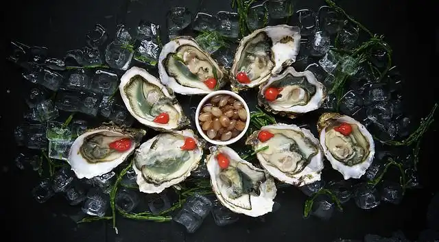 oyster-shells image