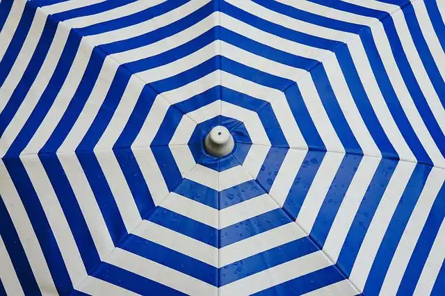 parasol image