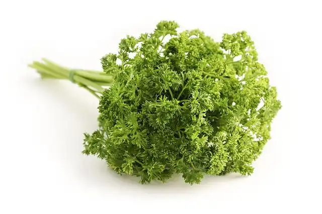 parsley image