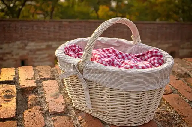 picnic-basket image