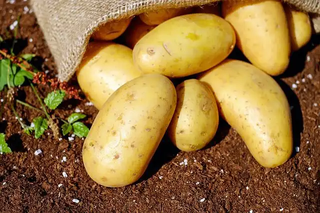 potatoes image