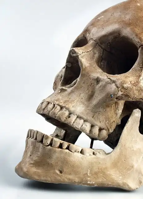 skull image