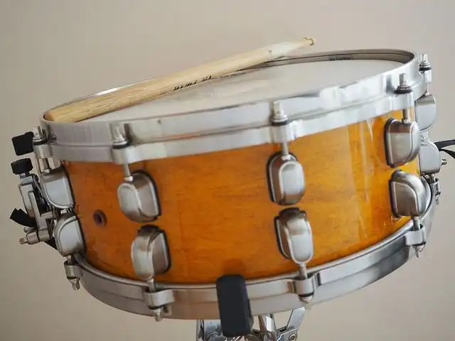 snare image