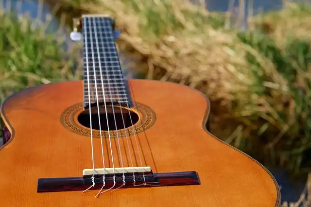 string-instruments image