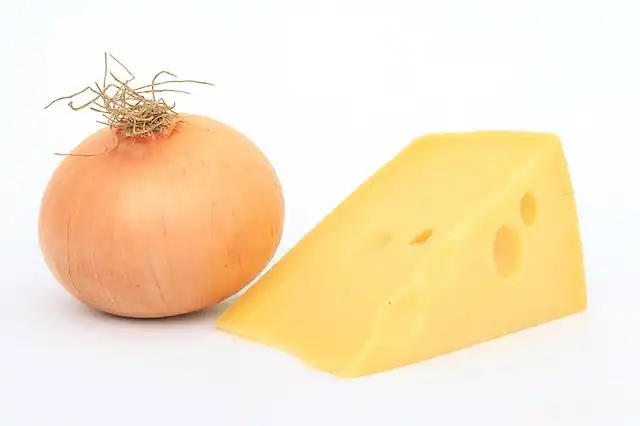 swiss-cheese image