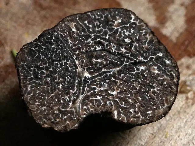 truffle image